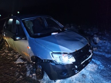 В Вологодском округе водитель автомобиля совершил наезд на лося