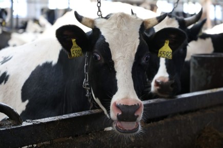 ����������� ������� ���������� ���������� ������� ���������� � �������� ��������������