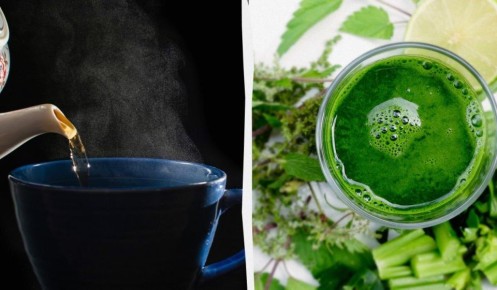 Напитки, которые прокачивают ваш мозг: что стоит добавить в меню