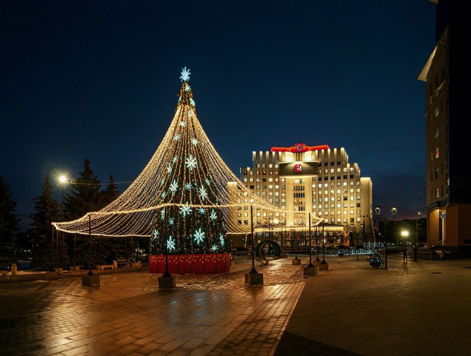 Днём по области -1° +4°, небольшие, местами умеренные осадки (мокрый снег, дождь)