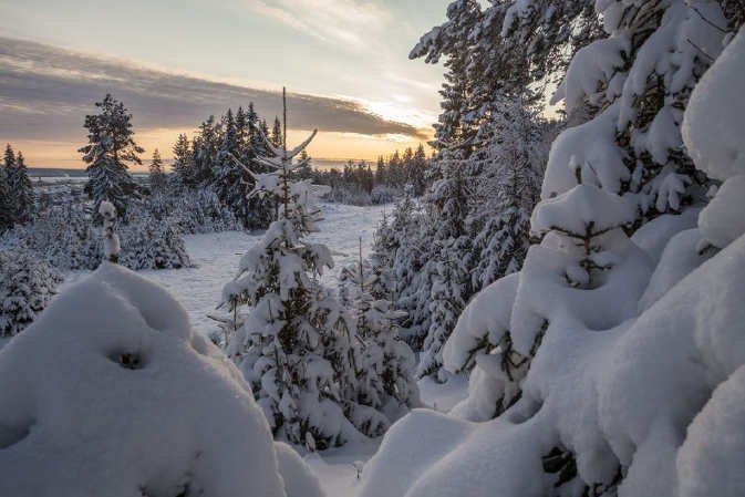 В Вологодской области на неделе ожидаются резкие смены погоды: снегопады, метели, морозы до -27°C, а затем кратковременные оттепели