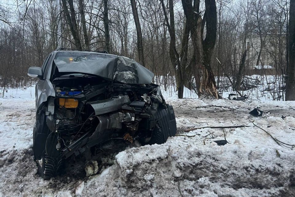 Ребенок и трое взрослых пострадали во врезавшейся в дерево иномарке