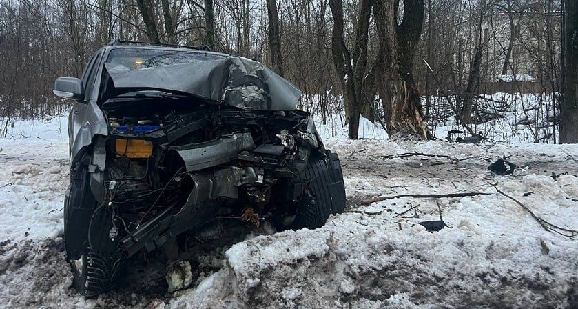 Иномарка на скорости врезалась в дерево в Молочном: среди пострадавших есть ребёнок