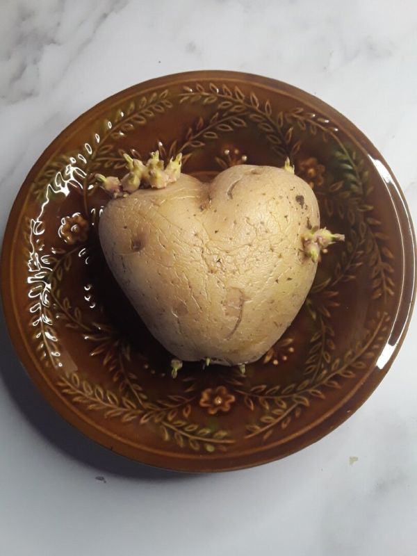 ��� ������� ������� ��������� ������������: ������� � �������� � ������� �����