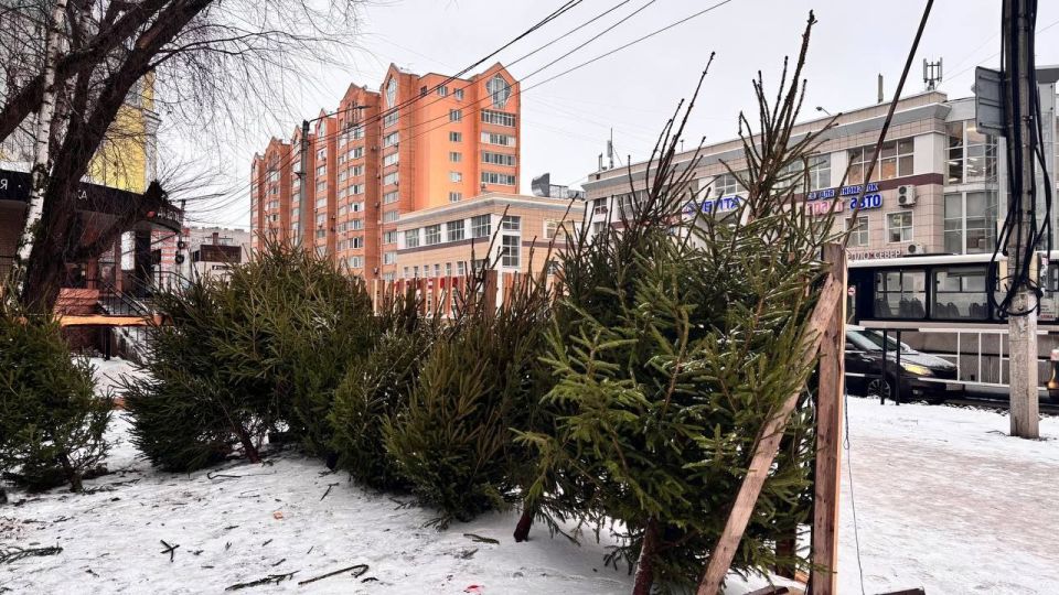 � ������� � ��������� �������� ������� ������