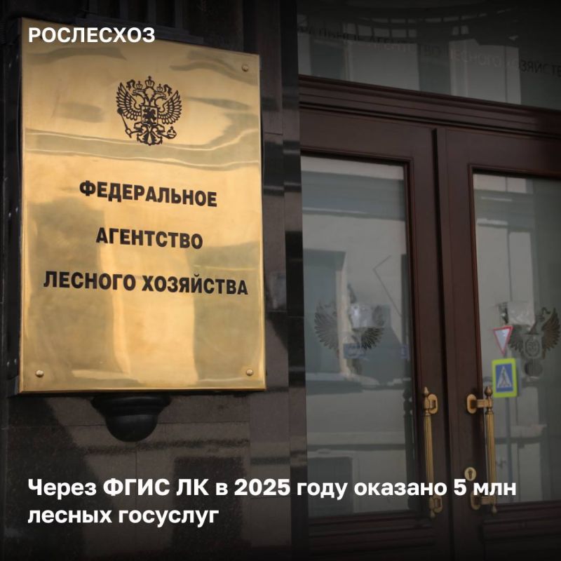 Рослесхоз реализует принципы клиентоцентричности в своей деятельности