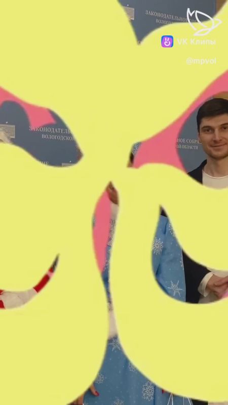 Антонина Фёдорова совместно с Молодёжным парламентом Вологодской области подготовили и упаковали новогодние подарки для участников СВО