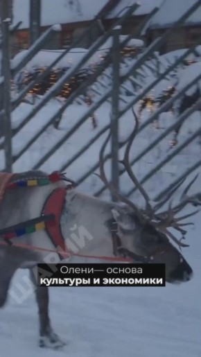 ������! ��������, ����, ������� �����!