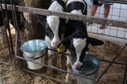 � ������������ ����� ������� ������� �������� 77 �����������