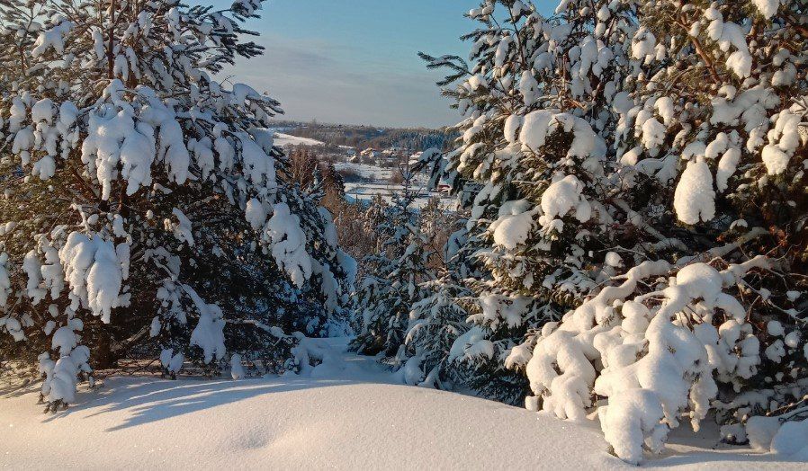 ��������� ��������� ���������� ��������-�������� ������