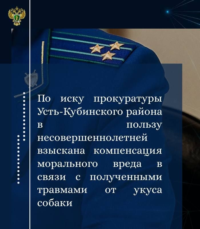 Прокуратура Усть-Кубинского района провела проверку соблюдения законодательства, регулирующего ответственное обращение с животными