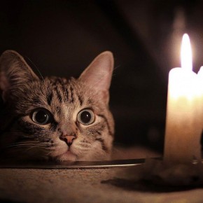 �������������� �������: ������ ������� ������� �������� ��� �������������