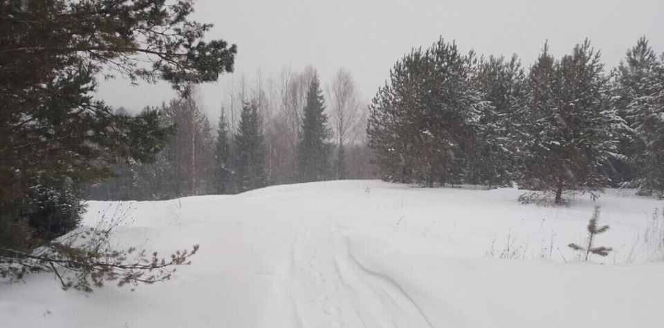 Мороз до -21 градуса ожидает вологжан в новогоднюю ночь