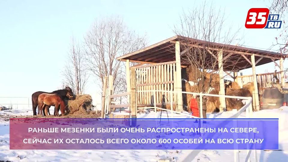 ��������� ��� �������� ������: � ������ � �������� �� ����������