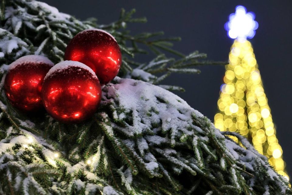 �������� 2025 ��� � ����������� ������� �������� � �������� �������� �������