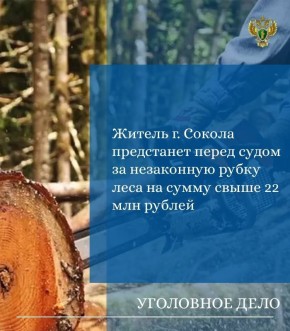 ����������� ����������� ������� ��������� ������������� ���������� �� ���������� ���� � ��������� 38-������� ������ �. ������. �� ���������� �� �. 3 ��. 260 �� �� (���������� ����� ������ ����������, ����������� � �����...