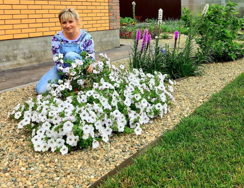 Гравийные клумбы: как создать эффектный дренаж для здорового сада