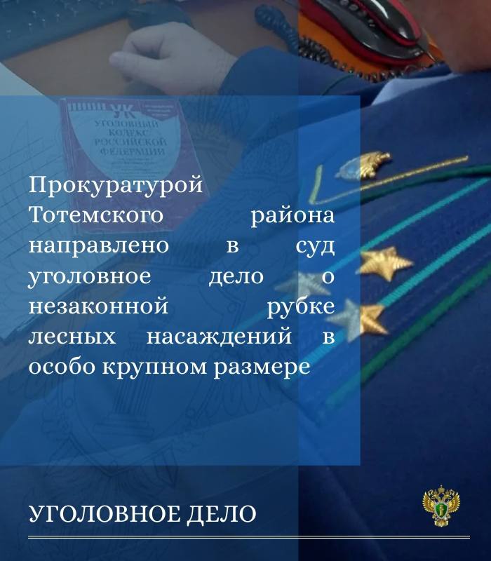 Прокуратурой Тотемского района утверждено обвинительное заключение по уголовному делу в отношении 58-летнего местного жителя