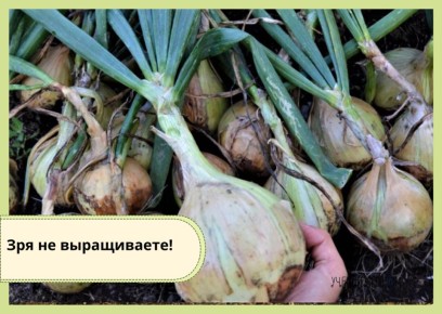 ������ ��� ��������� ������ ����� �������� ������?