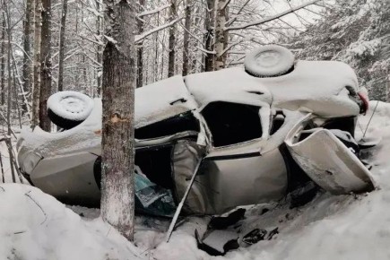 В Кадуйском округе погиб водитель при съезде автомобиля в кювет