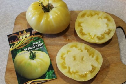 ���� ������ ������ ����: ������� ���������� � �� ������