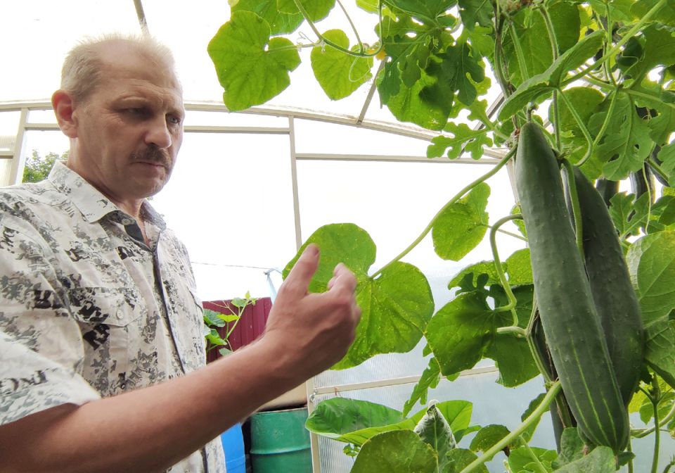 ��������� �����������: ��� ���������� ���� � ����� ������������ ������� ������