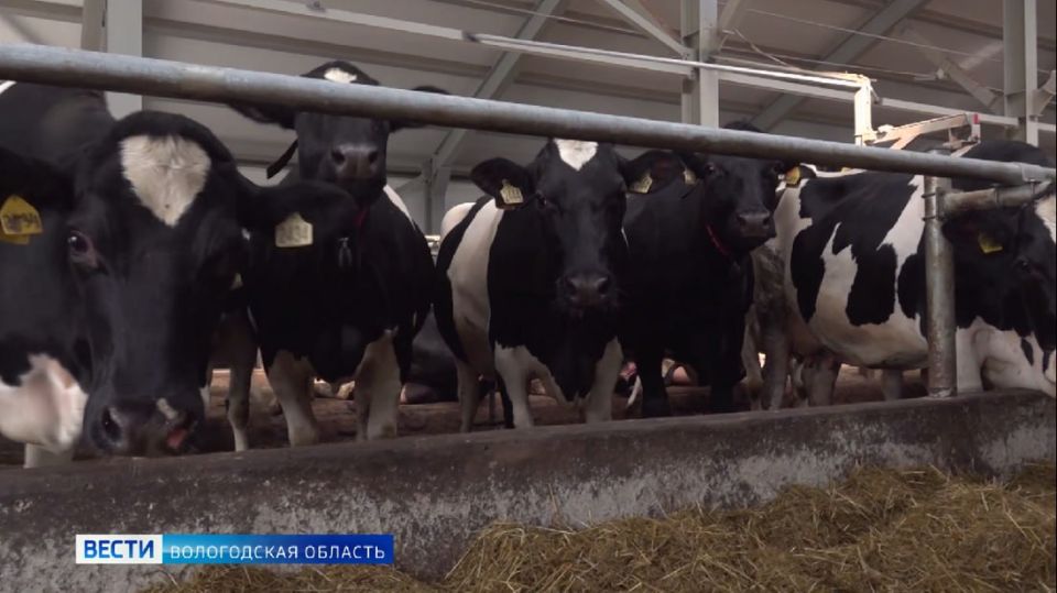 ���������� ������������ ������ �� �������������� ����������� ����� ��������� � 2025 ����