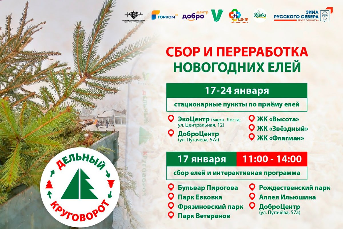 Жители Вологды 17 января смогут сдать новогодние ели на переработку в рамках экологической акции «дЕльный круговорот»