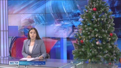 Вологжанам напомнили основные правила безопасности в новогодние каникулы