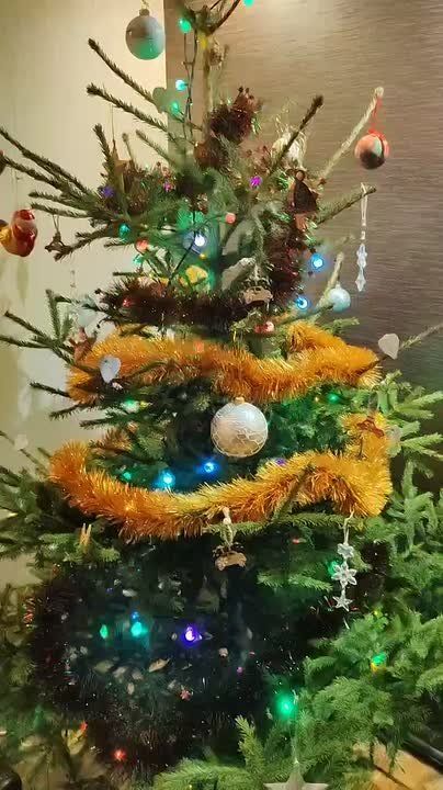 ��� �������� ���������� ������� �� ����� ����� �����������