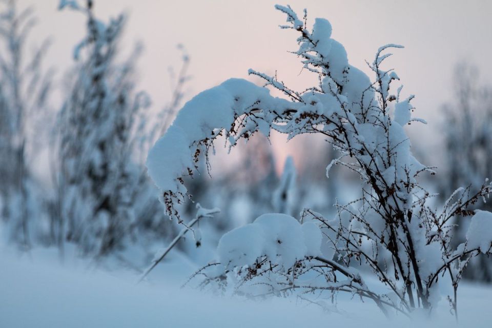 ������� ���� �� ������� ��������