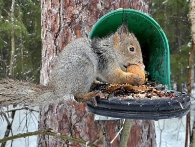 ���� �� ������� -5 � -10�, ��������� ����