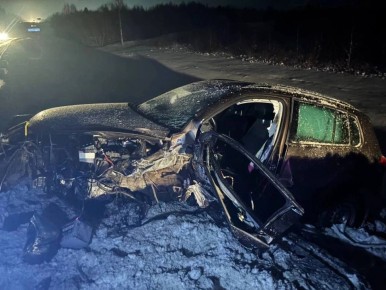 Два мужчины и женщина пострадали в ДТП под Вологдой