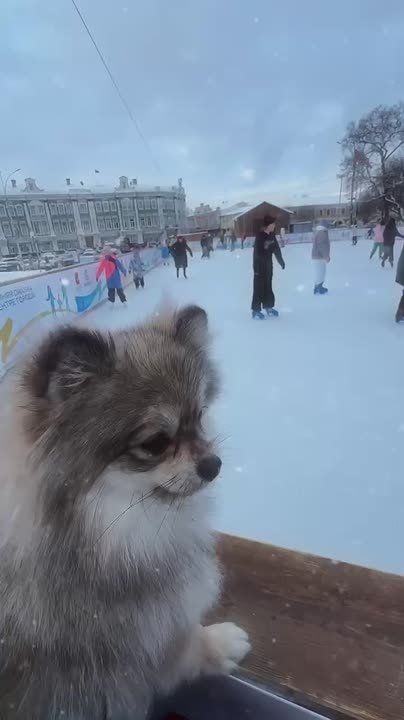 ��������� �������� � ����������! ���������� ����� �� ������� ��������� � �������- ����� ���������� �����!