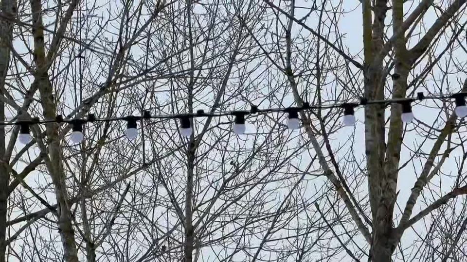 ���������� ������� ��������� ��������� � �������� ������������ ���� � ��������� � ���������� ���� ���������