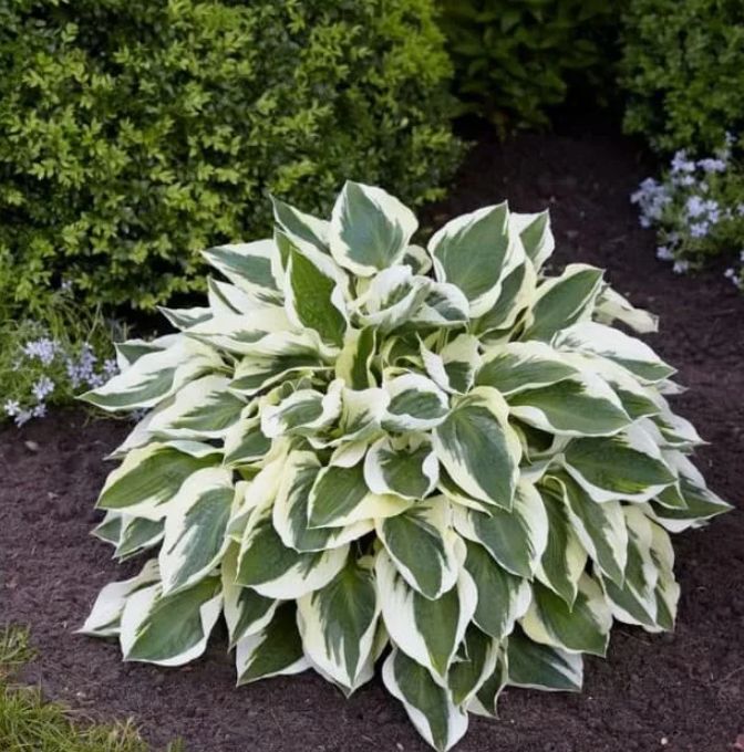 ��� �������� ������� ������ � �������� ����: ������� ��������� ����������