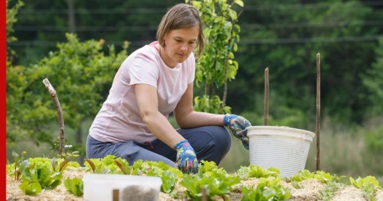 ��� ������ ��� ��������: ����������� �������� �� ��������