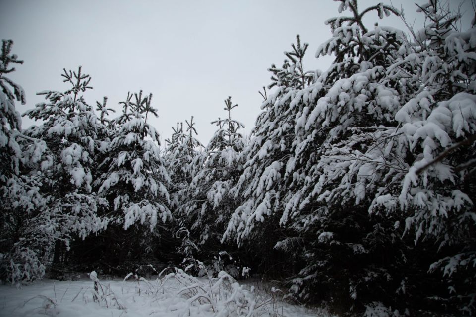 ������ ��� �� ����������� ���������� ������ ������