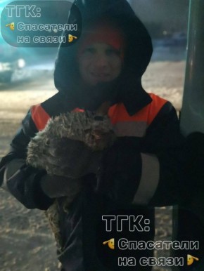 ����� ���� ����� �������� ������� � �������