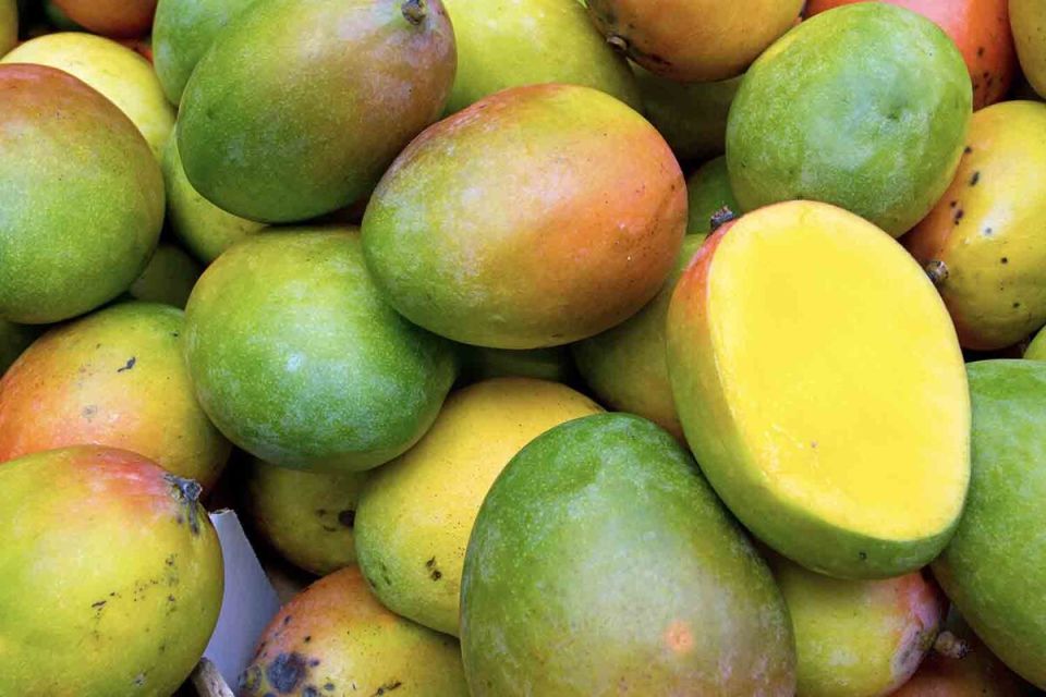 �����: ������� �������� ��� ������ �������� ���������?