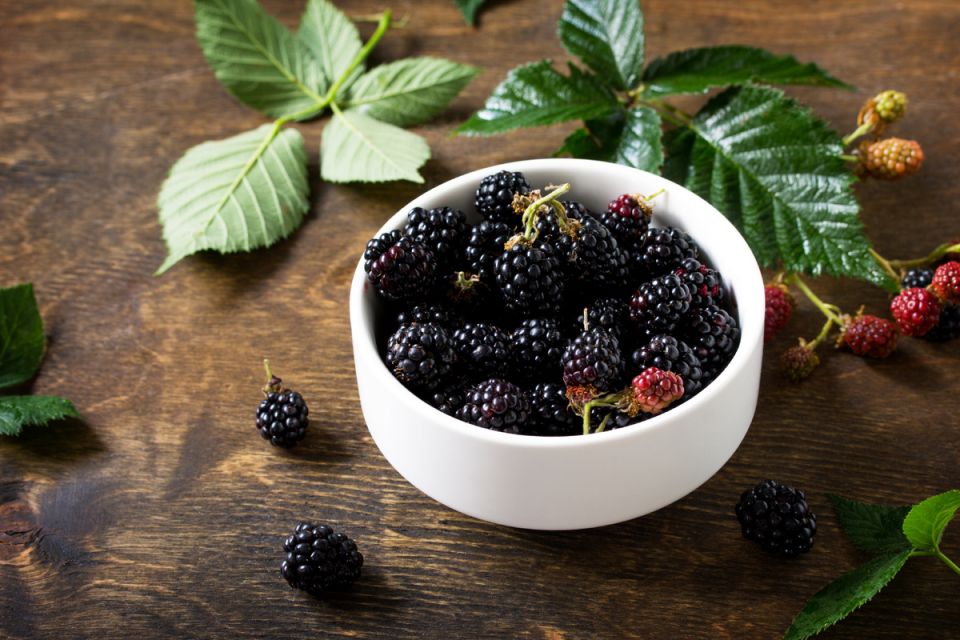 �������: ������� ����������� � ������� ��� ����������