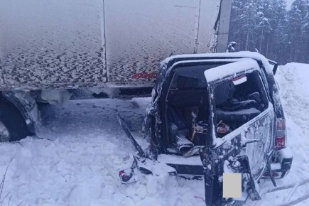 Стали известны подробности аварии с двумя погибшими под Череповцом