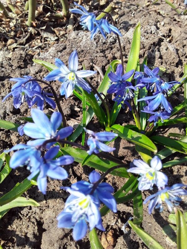 ����������� � ��� ������: ����� �������� � �������