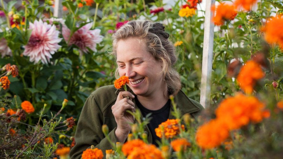 ������� ��������� ������ ����� ����� ���������� � ��� �����: ������� ����-�������� �������