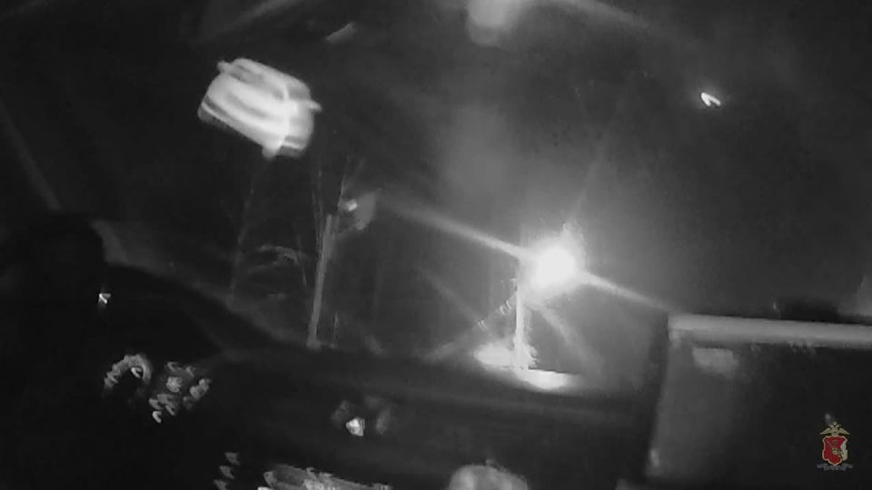 ����������������� ���� ������ ������������ ������� �������� � ����������� �������