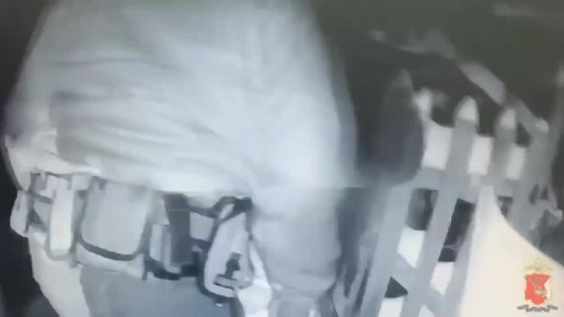 � ������� ����������� ������ ������� ������� �� �����������