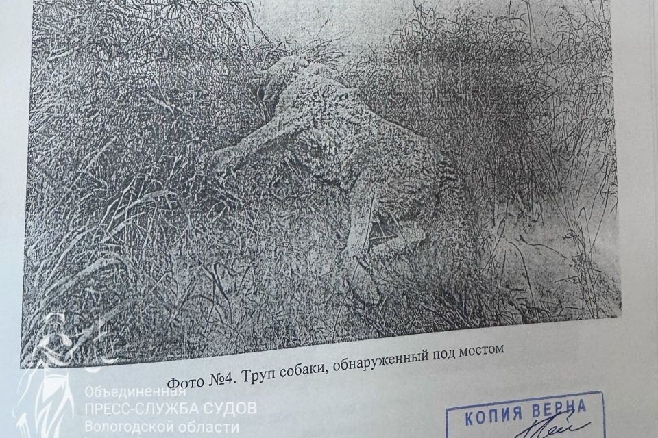 � ��������� ������ ����������� ������� 69-������ ������� ��������� �������� ������� �������, ������ � ����, ��� � ������� ������ � �� �����