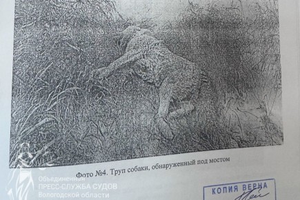 � ��������� ������ ����������� ������� 69-������ ������� ��������� �������� ������� �������, ������ � ����, ��� � ������� ������ � �� �����