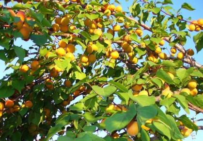 �����: ����� ��� ������� �������� �������� � ������ � ������