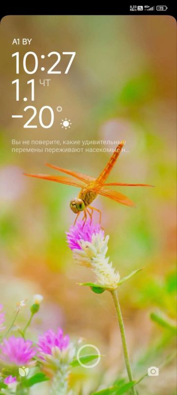 ����������� ���������� ���: ��������� ���������� ������� 2026 ����